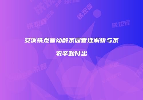 安溪铁观音幼龄茶园管理解析与茶农辛勤付出