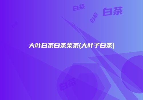 大叶白茶白茶菜茶(大叶子白茶)