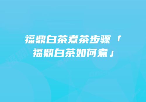 福鼎白茶煮茶步骤「福鼎白茶如何煮」