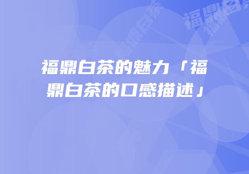 福鼎白茶的魅力「福鼎白茶的口感描述」