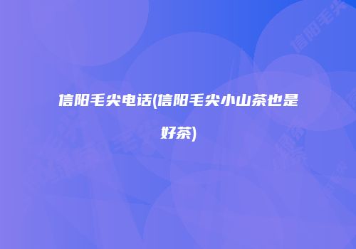 信阳毛尖电话(信阳毛尖小山茶也是好茶)