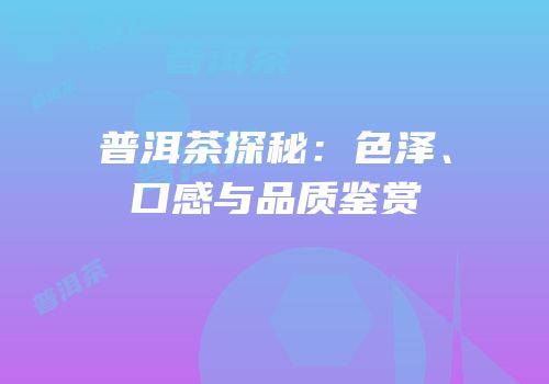 普洱茶探秘：色泽、口感与品质鉴赏