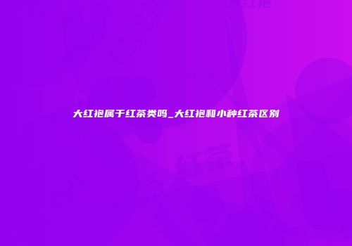 大红袍属于红茶类吗_大红袍和小种红茶区别