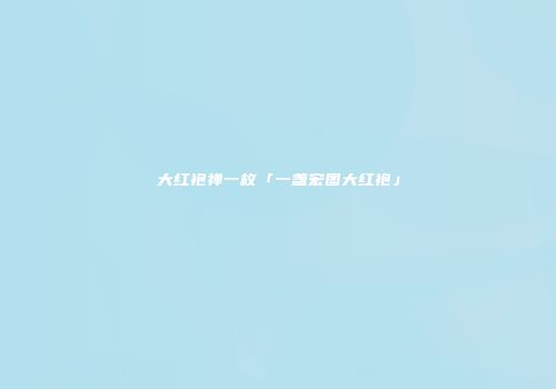 大红袍禅一枚「一盏宏图大红袍」