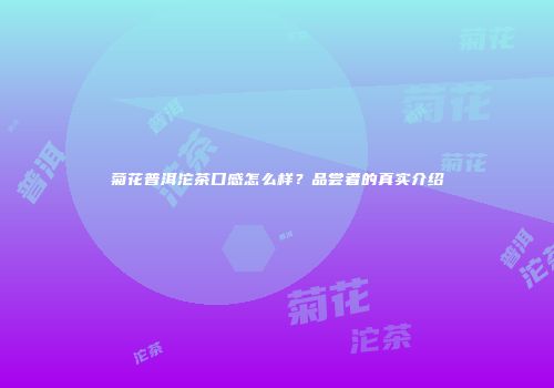 菊花普洱沱茶口感怎么样？品尝者的真实介绍