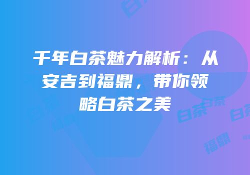千年白茶魅力解析：从安吉到福鼎，带你领略白茶之美