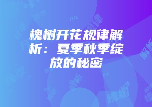 槐树开花规律解析：夏季秋季绽放的秘密