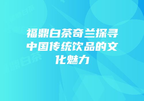 福鼎白茶奇兰探寻中国传统饮品的文化魅力