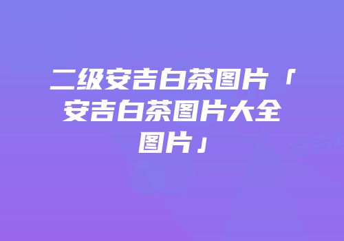 二级安吉白茶图片「安吉白茶图片大全图片」
