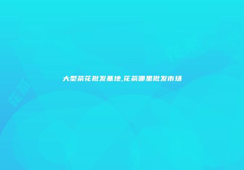 大型茶花批发基地,花茶哪里批发市场