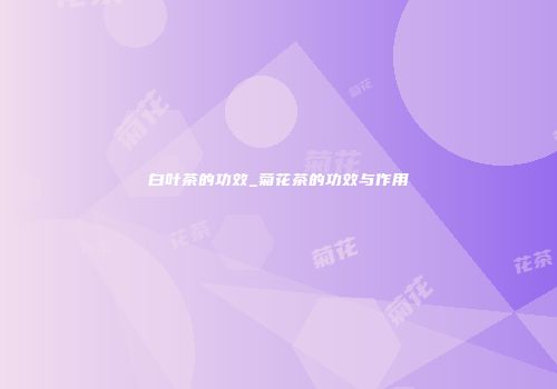 白叶茶的功效_菊花茶的功效与作用