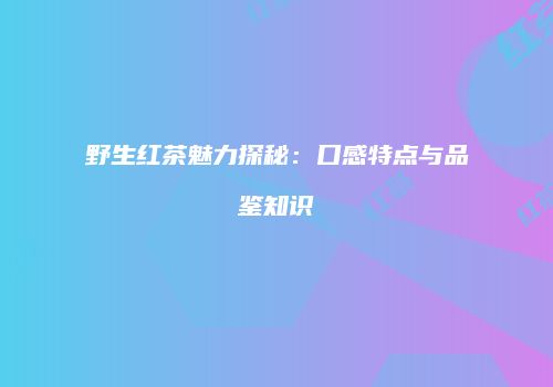 野生红茶魅力探秘：口感特点与品鉴知识