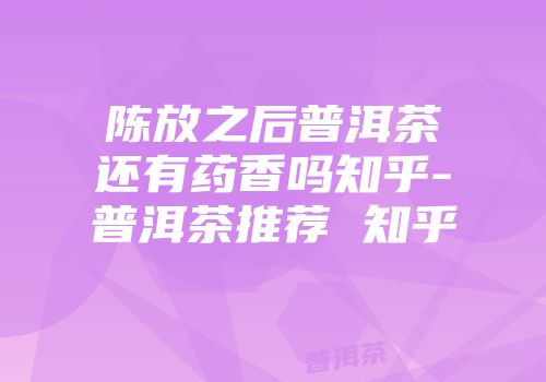 陈放之后普洱茶还有药香吗知乎-普洱茶推荐 知乎