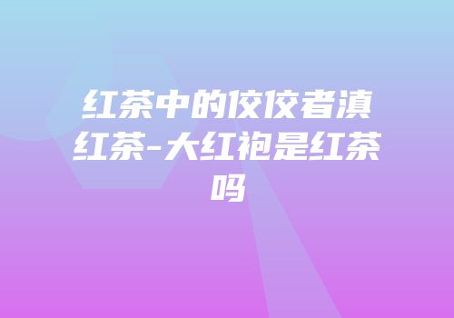 红茶中的佼佼者滇红茶-大红袍是红茶吗