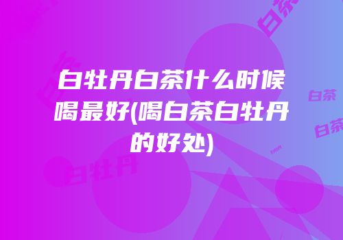 白牡丹白茶什么时候喝最好(喝白茶白牡丹的好处)