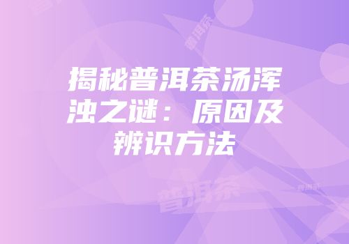 揭秘普洱茶汤浑浊之谜：原因及辨识方法