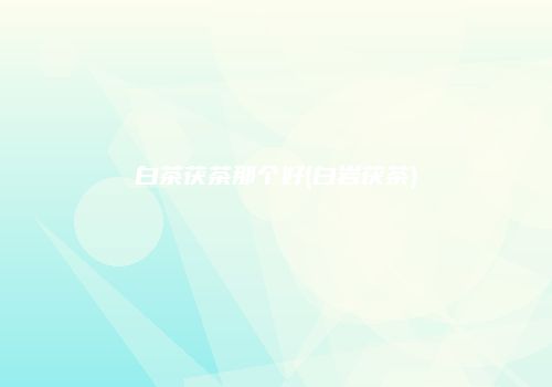 白茶茯茶那个好(白岩茯茶)