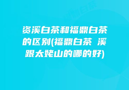 资溪白茶和福鼎白茶的区别(福鼎白茶磻溪跟太姥山的哪的好)