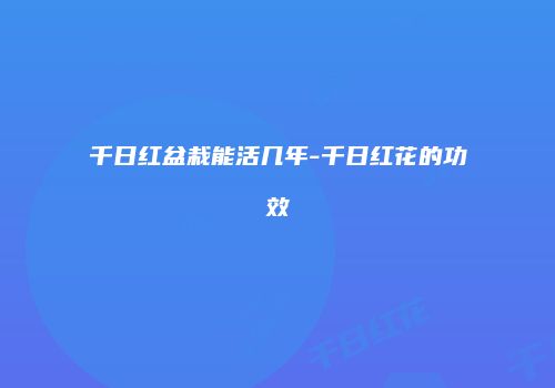千日红盆栽能活几年-千日红花的功效