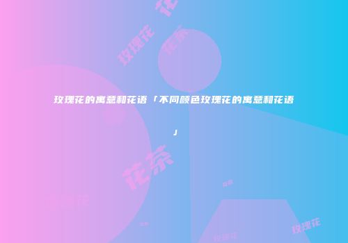 玫瑰花的寓意和花语「不同颜色玫瑰花的寓意和花语」