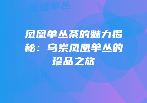 凤凰单丛茶的魅力揭秘：乌岽凤凰单丛的珍品之旅