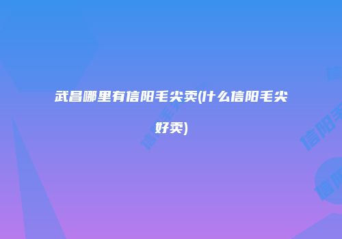 武昌哪里有信阳毛尖卖(什么信阳毛尖好卖)
