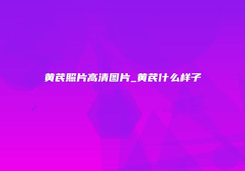 黄芪照片高清图片_黄芪什么样子