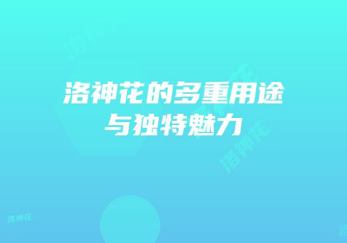 洛神花的多重用途与独特魅力