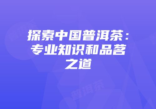 探索中国普洱茶：专业知识和品茗之道