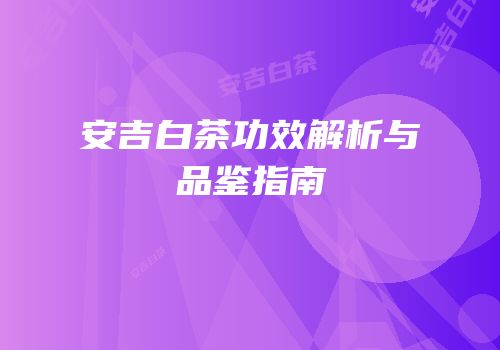 安吉白茶功效解析与品鉴指南
