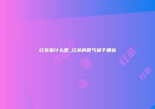 红茶是什么香_红茶的香气属于哪些