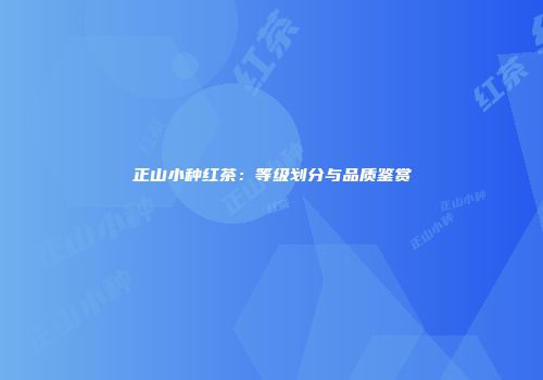 正山小种红茶：等级划分与品质鉴赏