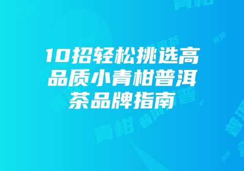 10招轻松挑选高品质小青柑普洱茶品牌指南