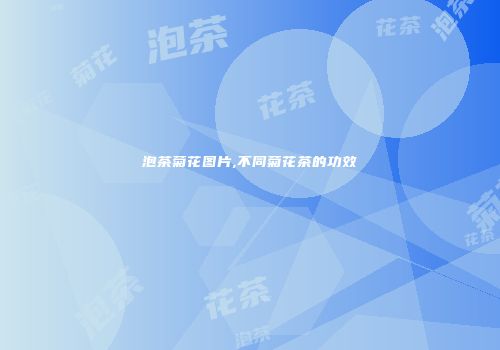 泡茶菊花图片,不同菊花茶的功效