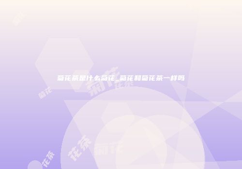 菊花茶是什么菊花_菊花和菊花茶一样吗