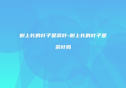 树上长的叶子是茶叶-树上长的叶子是茶叶吗