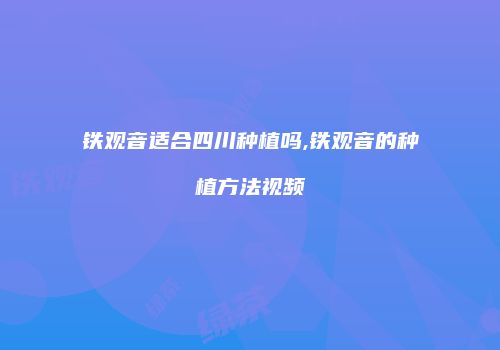 铁观音适合四川种植吗,铁观音的种植方法视频