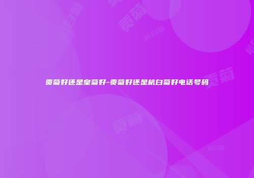 贡菊好还是皇菊好-贡菊好还是杭白菊好电话号码