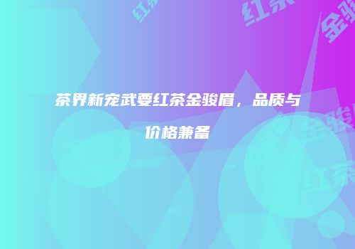 茶界新宠武要红茶金骏眉，品质与价格兼备