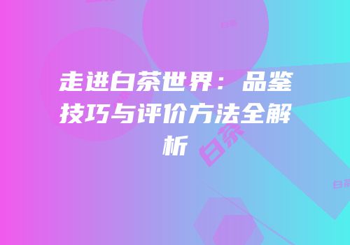走进白茶世界：品鉴技巧与评价方法全解析