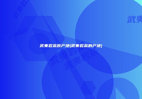 武夷岩茶原产地(武夷岩茶的产地)