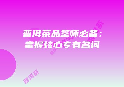 普洱茶品鉴师必备：掌握核心专有名词