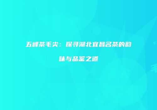 五峰茶毛尖：探寻湖北宜昌名茶的韵味与品鉴之道