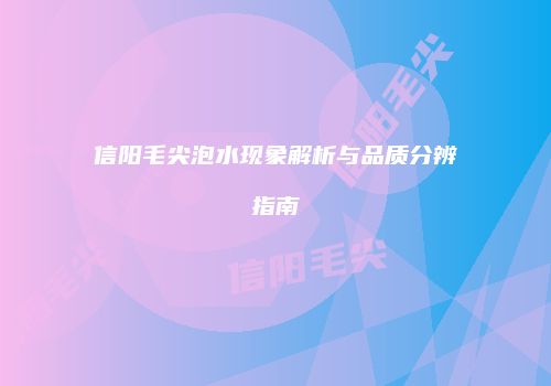 信阳毛尖泡水现象解析与品质分辨指南