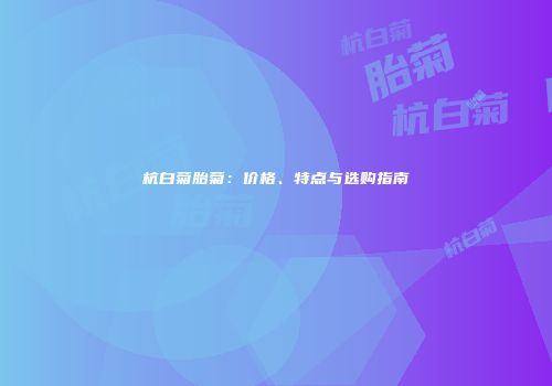 杭白菊胎菊：价格、特点与选购指南