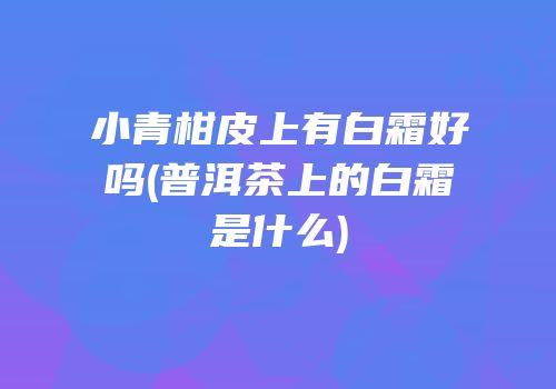 小青柑皮上有白霜好吗(普洱茶上的白霜是什么)