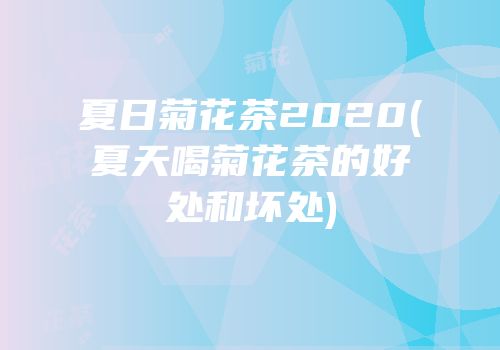 夏日菊花茶2020(夏天喝菊花茶的好处和坏处)