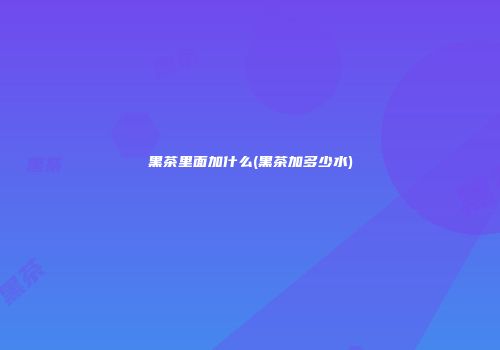 黑茶里面加什么(黑茶加多少水)