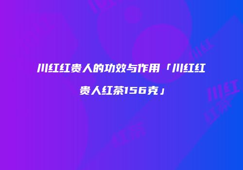 川红红贵人的功效与作用「川红红贵人红茶156克」