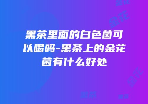 黑茶里面的白色菌可以喝吗-黑茶上的金花菌有什么好处
